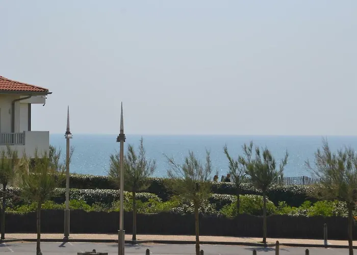 Daire A 50m De La Soorts-Hossegor